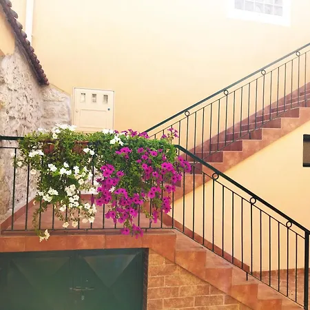 Apartment Mare Grdovic Zadar